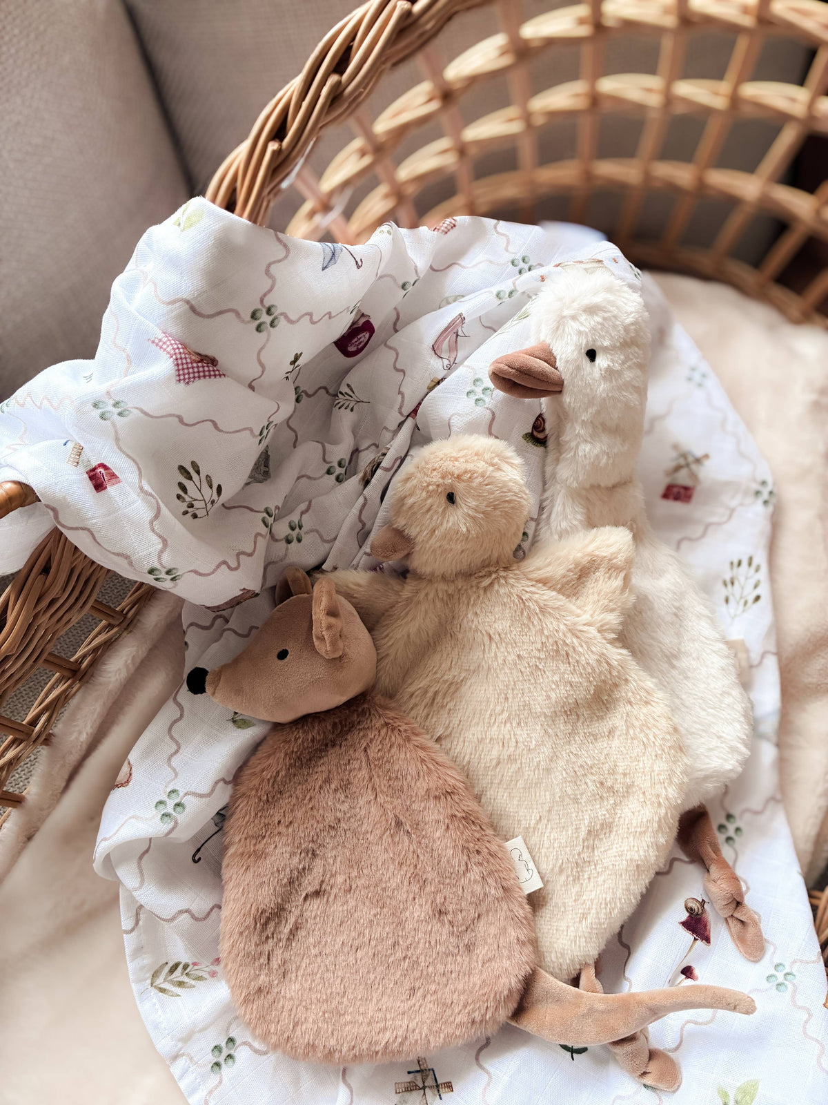 Quacks / Comforter Toy