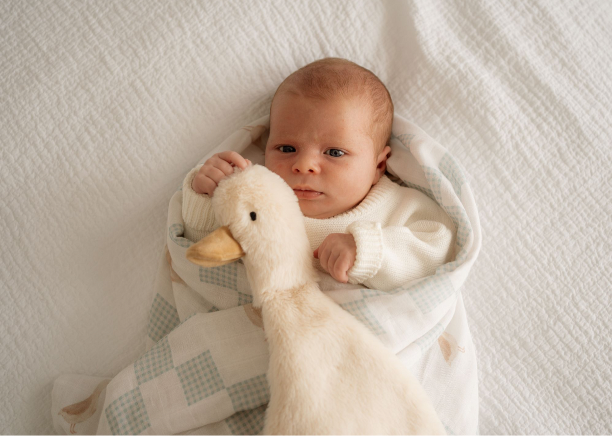 Waddles the Goose / Comforter Toy