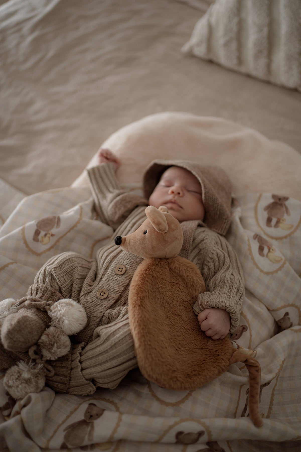 Squeaky the Sweet / Comforter Toy