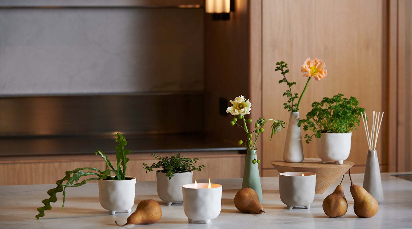 Botanical Diffuser / Forest