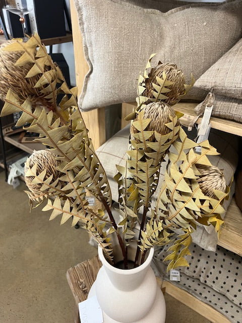 Dried Banksia Baxteri | Natural