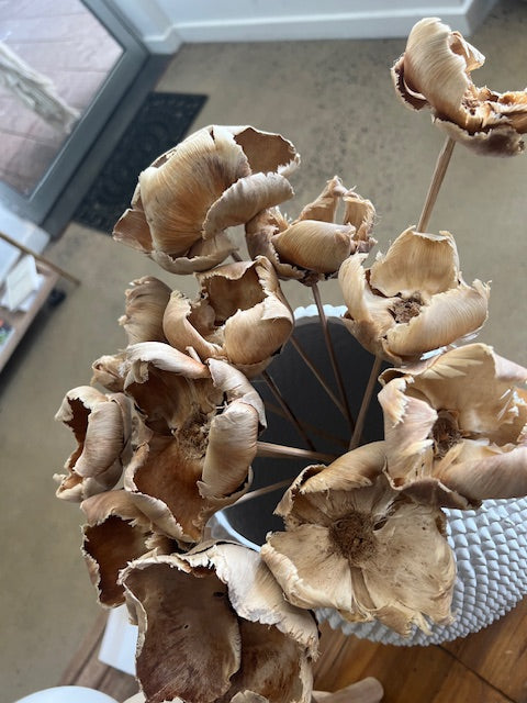 Dried Palm Blute | Bleached