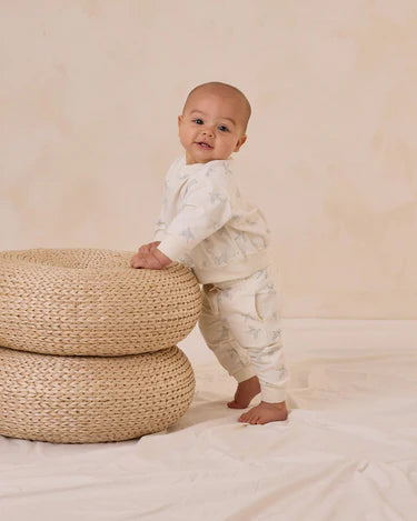 Relaxed Sweat pant | Birds