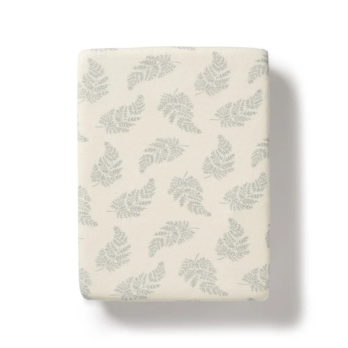 Organic Fitted Bassinet Sheet | Forever Ferns