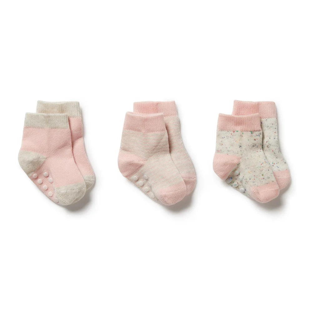 Baby Socks / 3 Pack - Cantaloupe