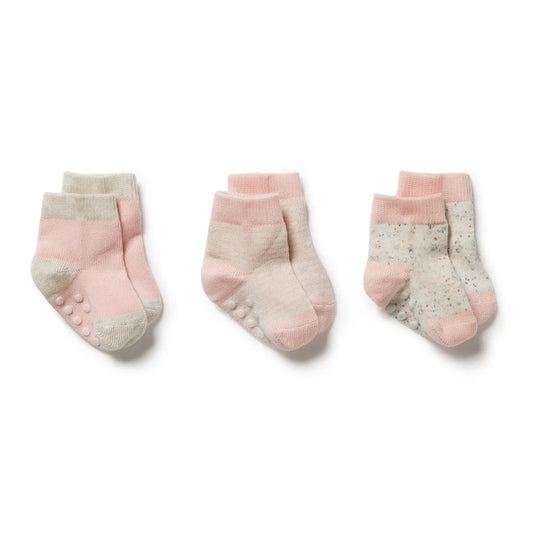Baby Socks / 3 Pack - Cantaloupe