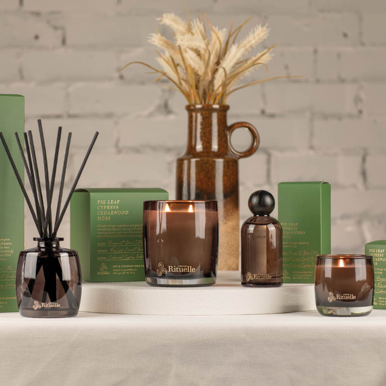 Apotheca Soy Coconut Candle | Fig Leaf, Cypress , Cedarwood, Moss