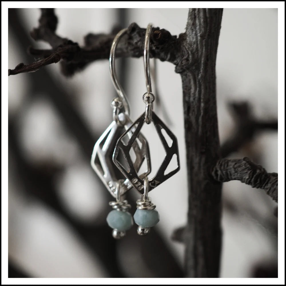 Illusion Earwires