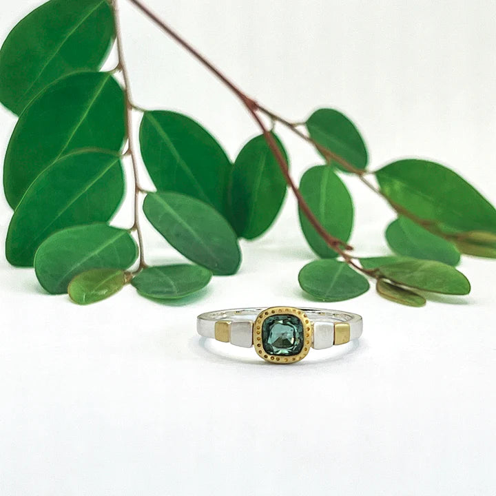The Oceanic ring