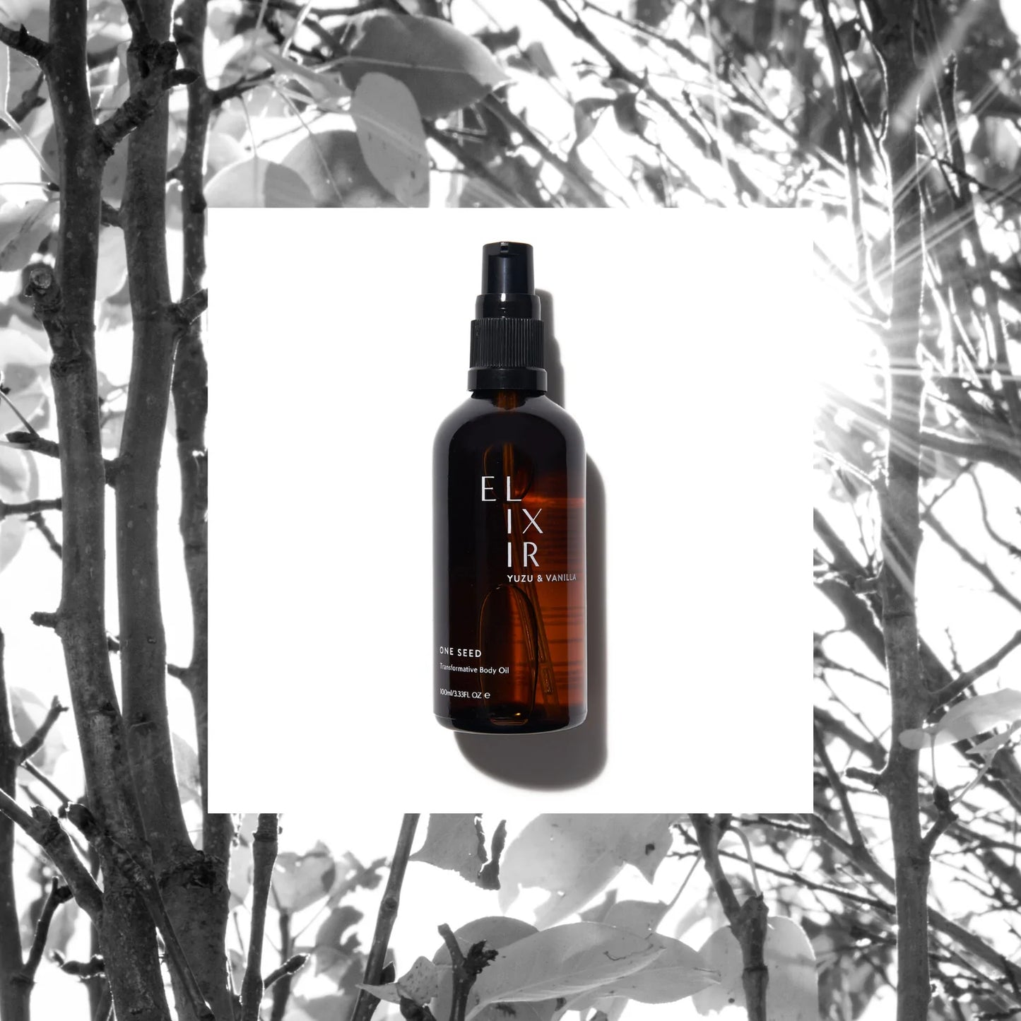 Yuzu & Vanilla Elixir Body Oil