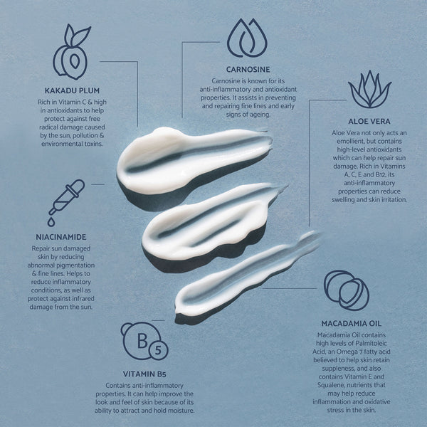 Skin Restoring Cream / Good Night