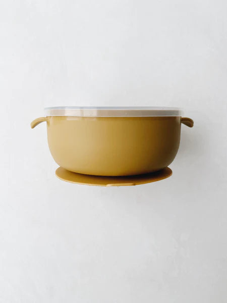 Silicone Bowl