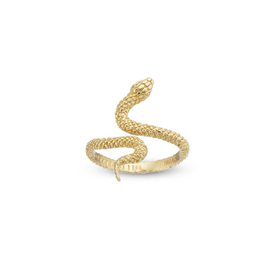 Symi Snake Ring | Brass