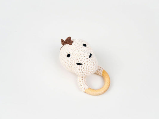 Dinosaur Crochet Baby Teether