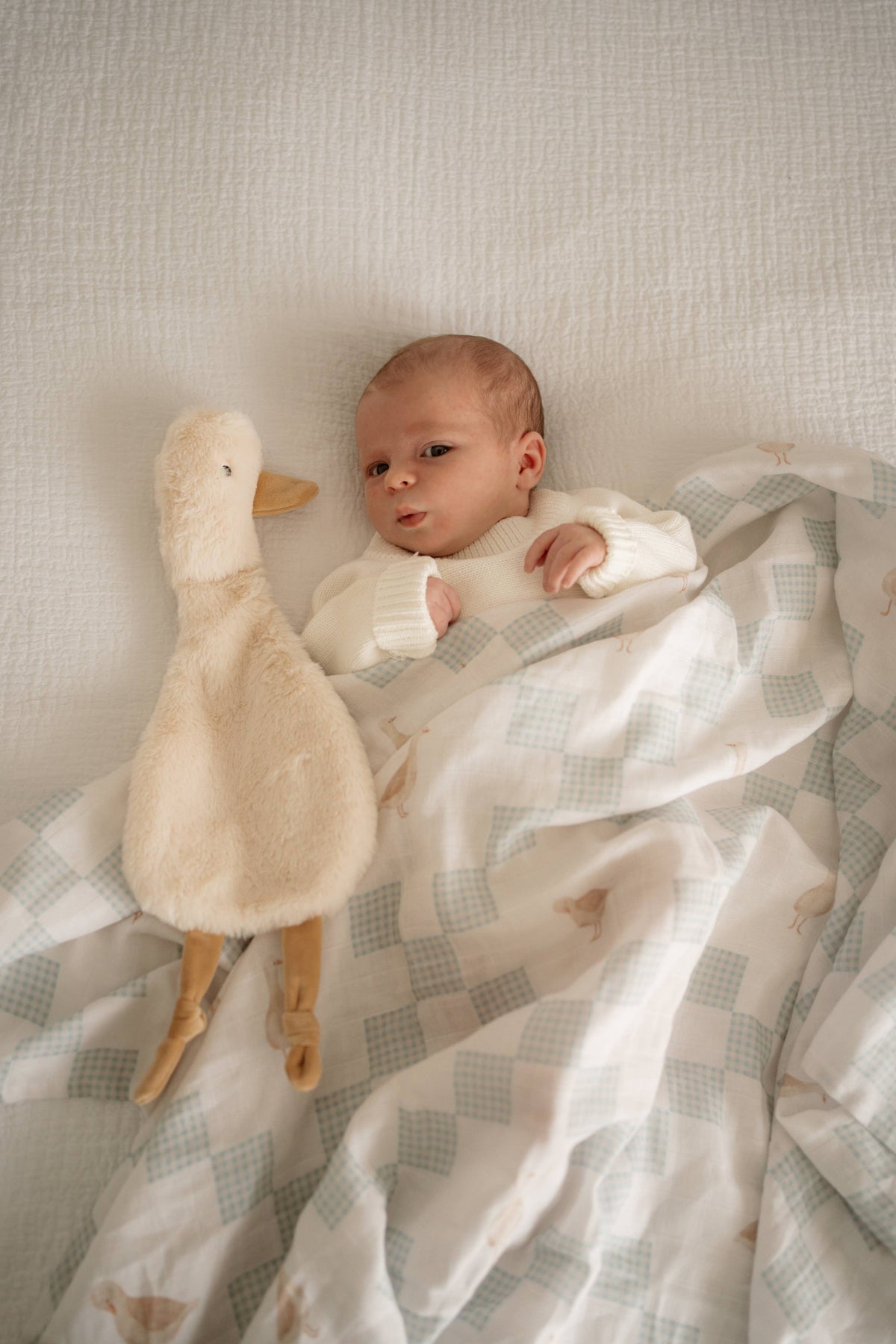 Waddles the Goose / Comforter Toy
