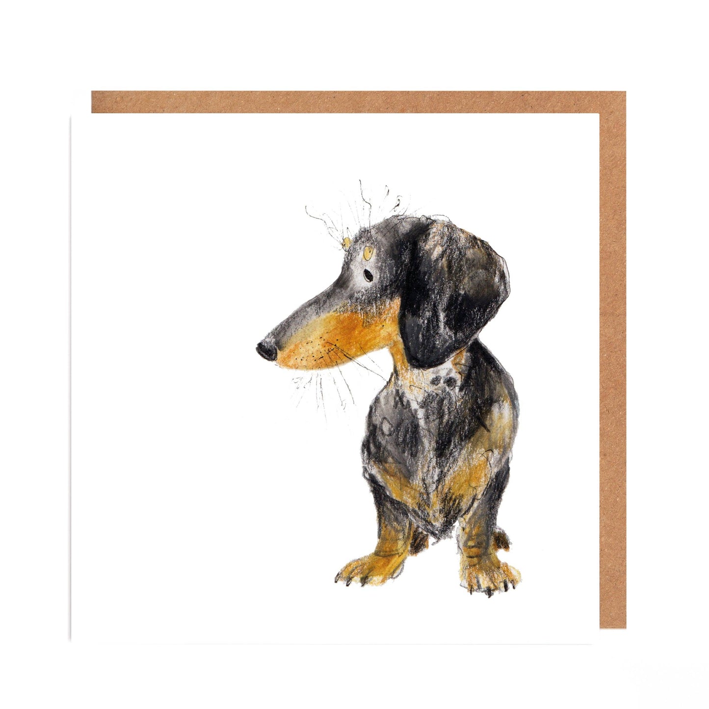 Otto' Dashchund Card for all Occasions
