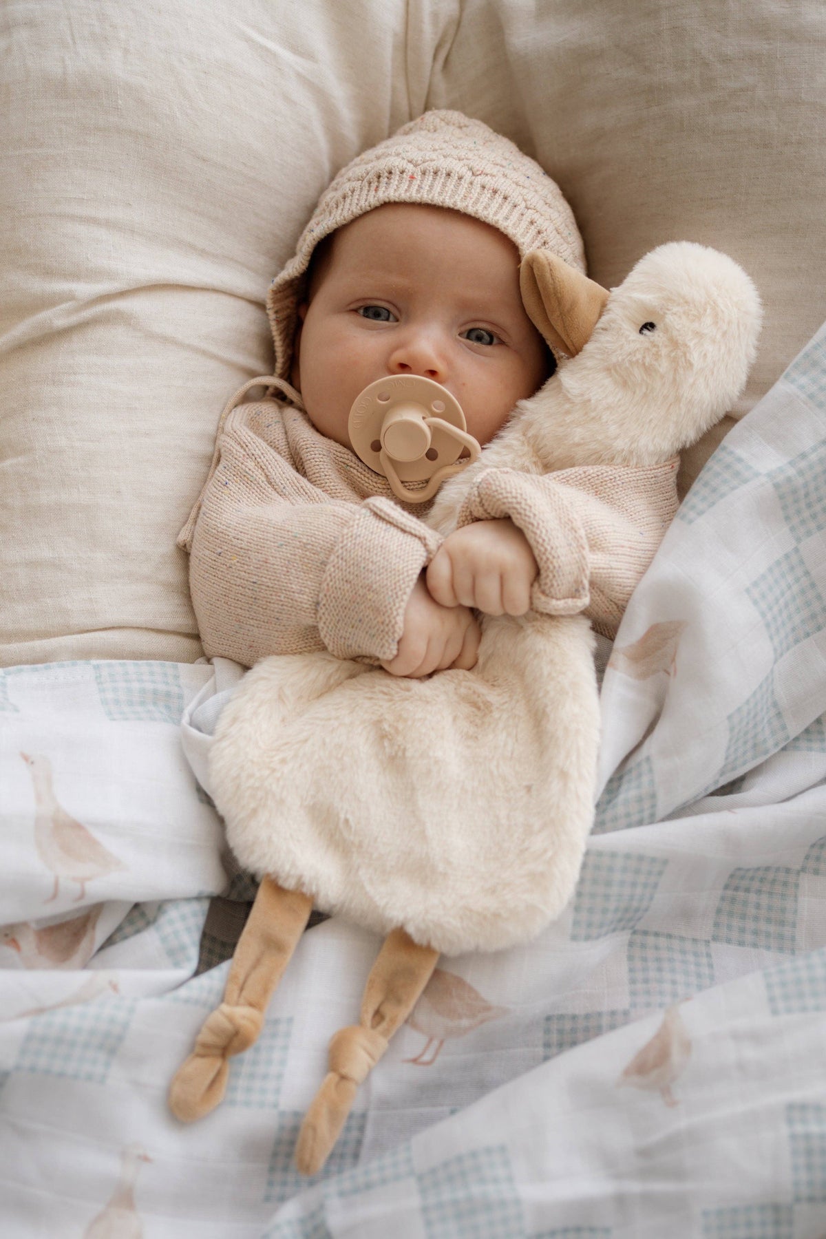 Waddles the Goose / Comforter Toy