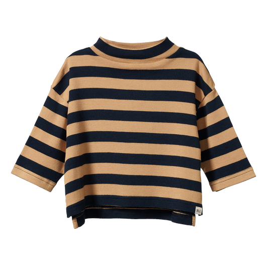 Turtle Neck / Navy Caramel Stripe