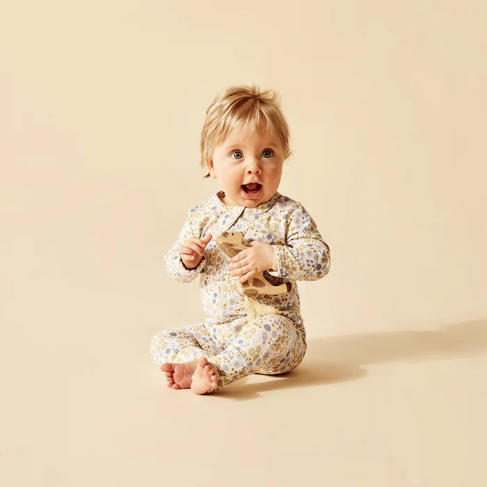 Little Meadow Boyleg Zipsuit + Feet