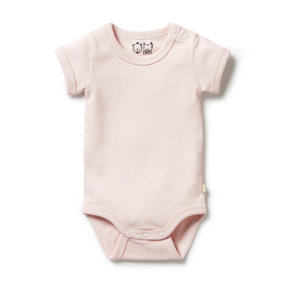 Organic Stripe Rib Bodysuit / Cantaloupe