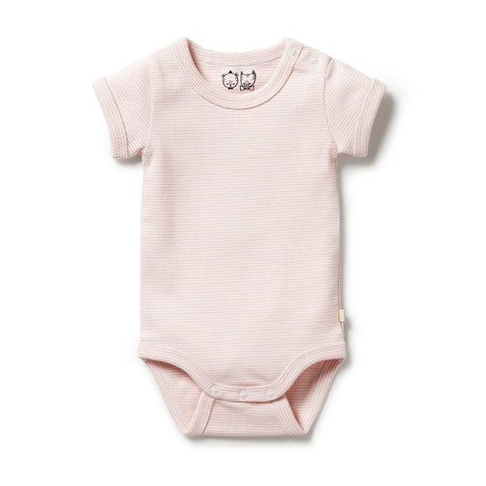 Organic Stripe Rib Bodysuit / Cantaloupe