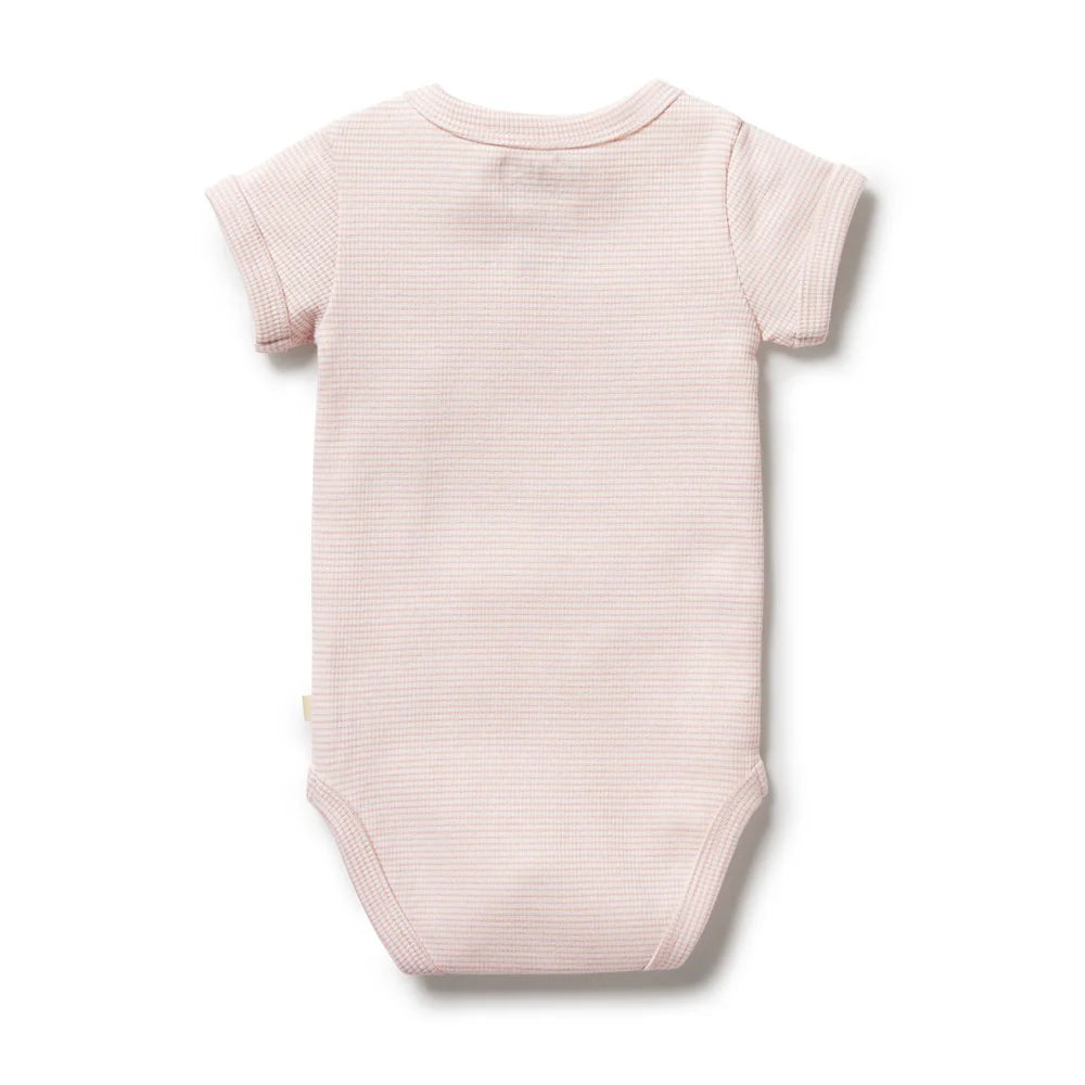Organic Stripe Rib Bodysuit / Cantaloupe