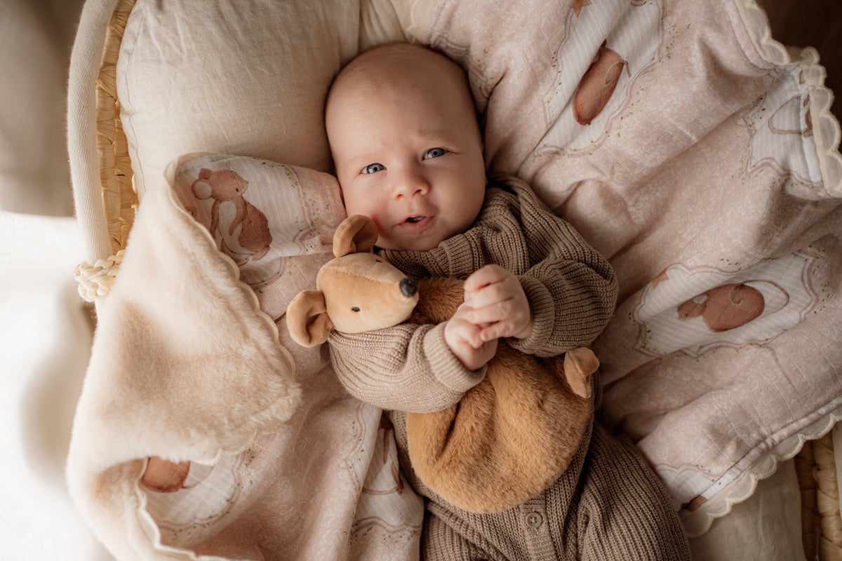 Squeaky the Sweet / Comforter Toy