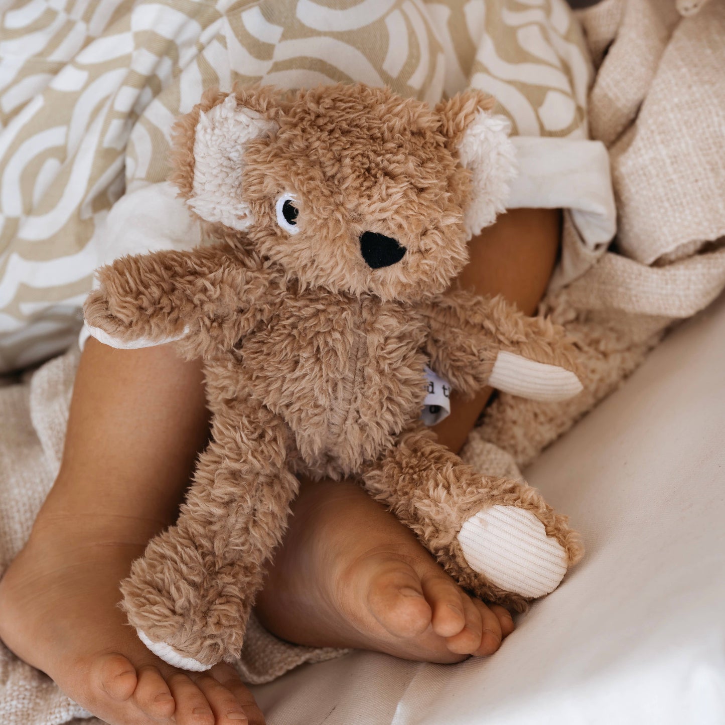 Wilbur Koala / Soft Toy