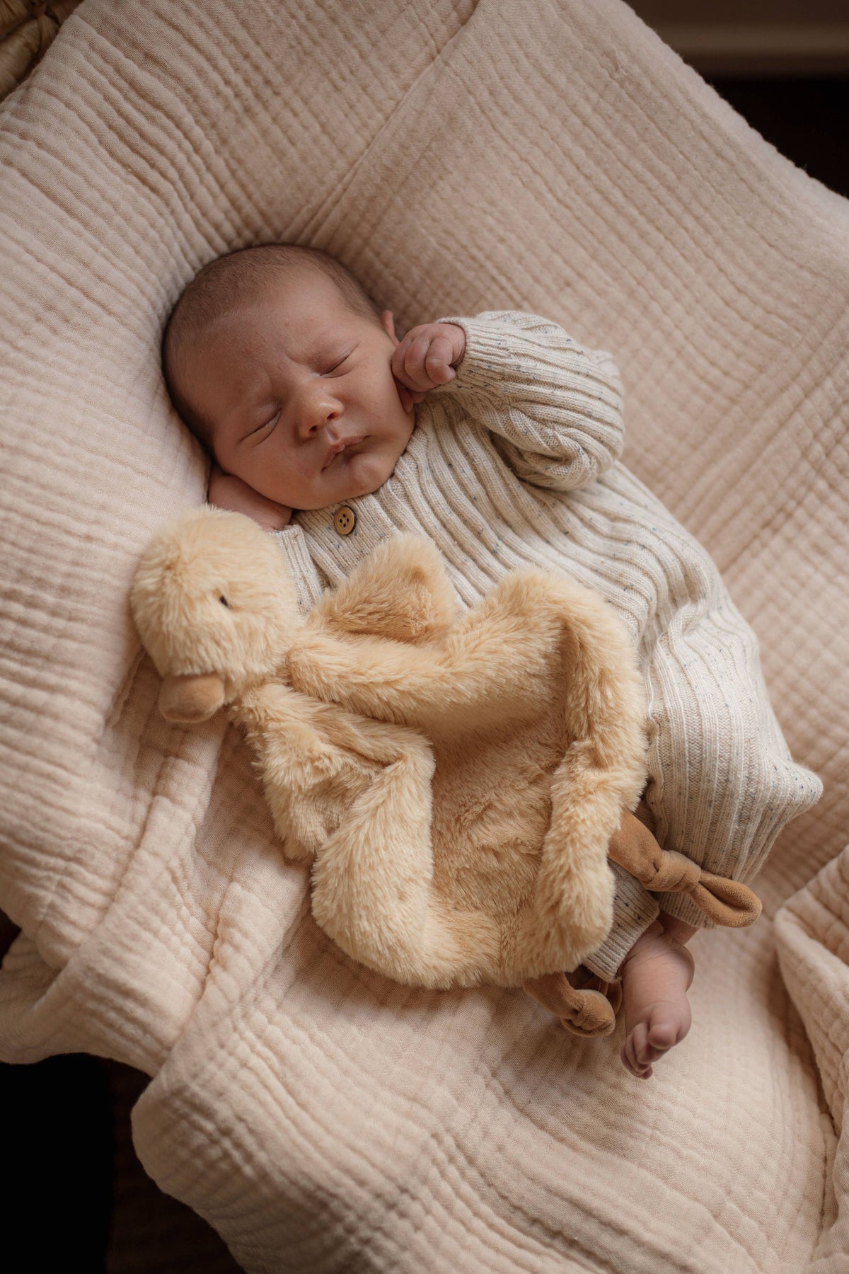 Quacks / Comforter Toy
