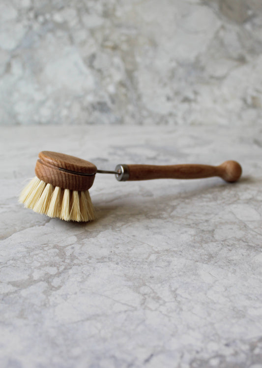 Dish Brush