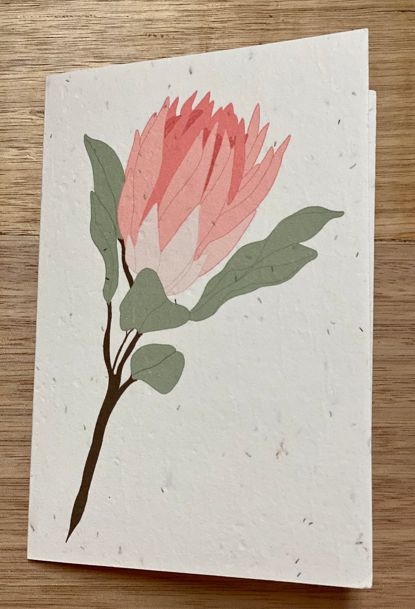 Botanicals Collection Card - Ella Jones Design