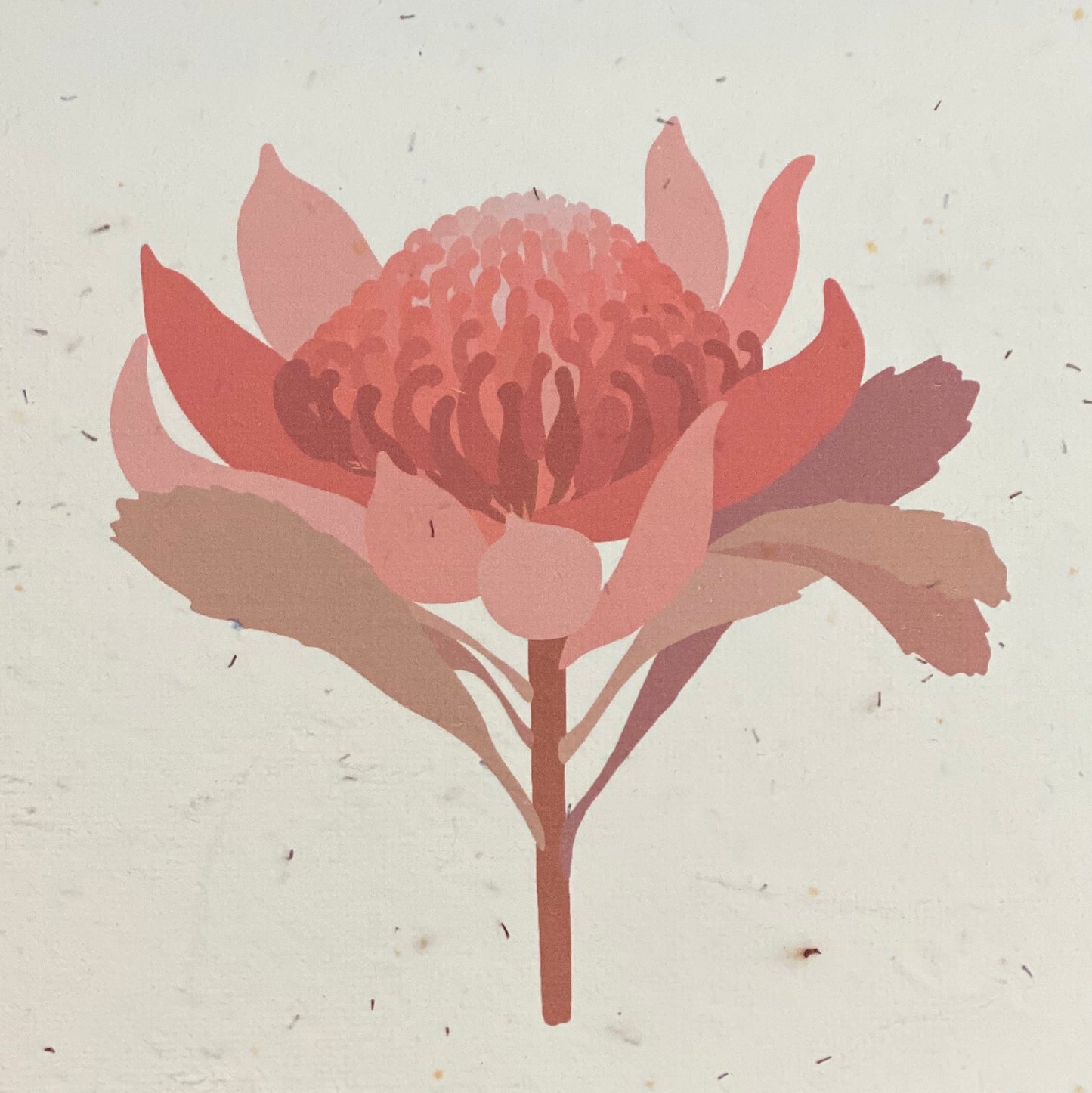Botanicals Collection Card - Ella Jones Design