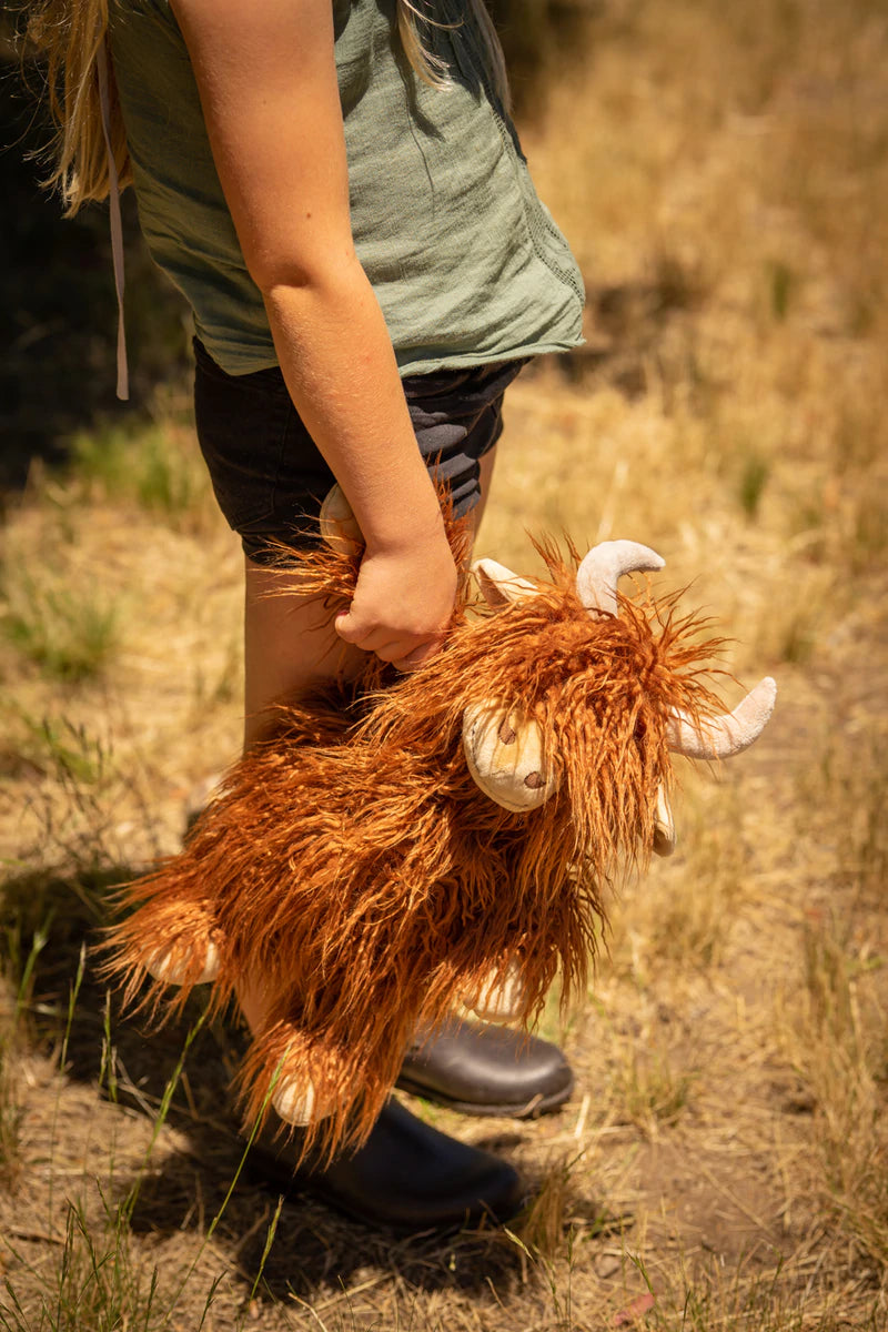 Henry Highland Cow